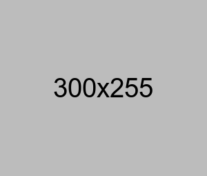 responsive img